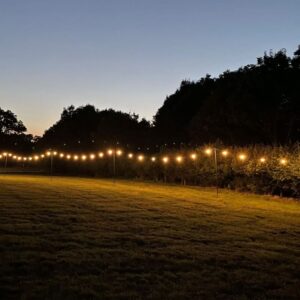 Professional festoon lighting hire set up across an outdoor garden event space